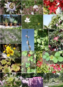 mosaique-fleurs