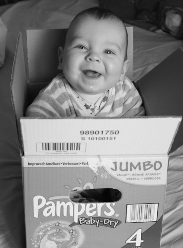malo-box-1