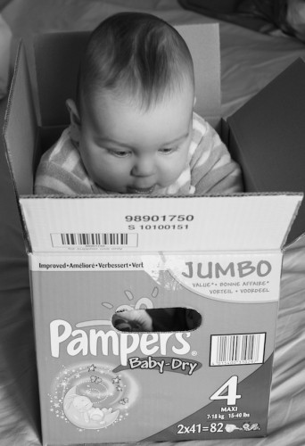malo-box-2